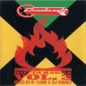 Various - Hotta Ragga Vol. 3