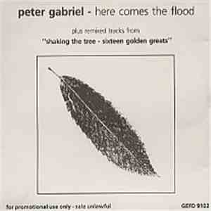 Peter Gabriel - Here Comes The Flood