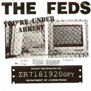 The Feds  - You're Under Arrest / Dr. Schmendrick's Theme
