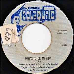 Colaquito Cortez Y Aires De Azuero - La Protesta / Pedasito De Mi Vida