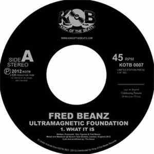 Fred Beanz - Ultramagnetic Foundation