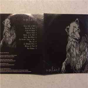 Umlaut  - Untitled