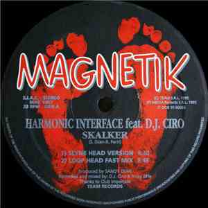Harmonic Interface Feat. DJ Ciro - Skalker