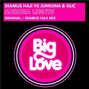 Seamus Haji Vs JunkDNA & Olic - Aurora Lights