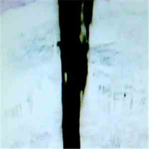Antony Milton - Streaming Black