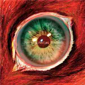 Boom Boom Satellites - Full Of Elevating Pleasures