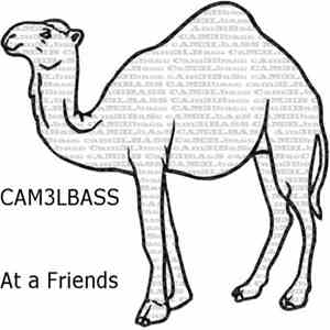 Cam3lbass - At A Friends