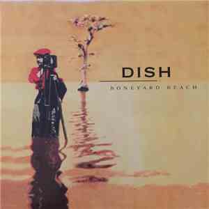 Dish - Boneyard Beach