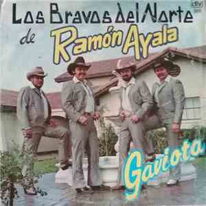 Los Bravos del Norte de Ramón Ayala - Gaviota