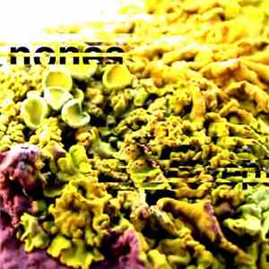Planes de Jibaros - Nones... EP