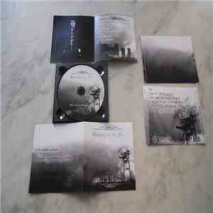 Howling In The Fog - Falling Into The Void Of This Unknown Fate
