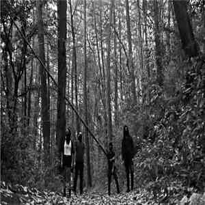 Petricore - V I I