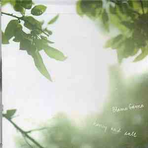 Blame Game - Honey And Salt