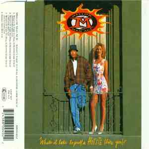 Mellow Man Ace - What's It Take To Pull A Hottie (Like You)?