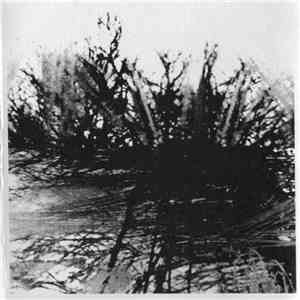 Nicole Chambers - Reciprocity