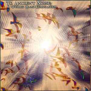 Various - To Ancient Noise: A Webbed Hand Compilation