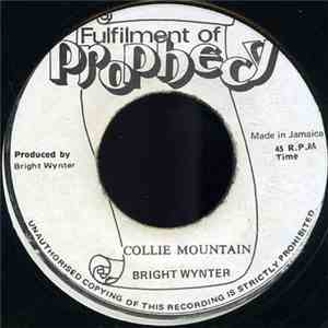 Bright Wynter - Collie Mountain