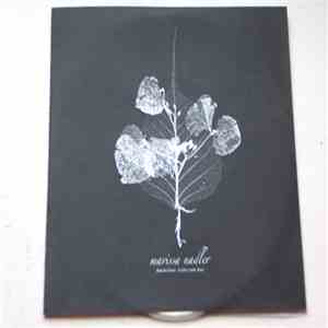 Marissa Nadler - Diamond Heart / Leather Made Shoes