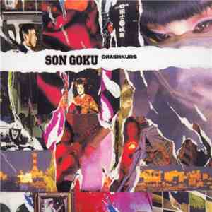 Son Goku - Crashkurs