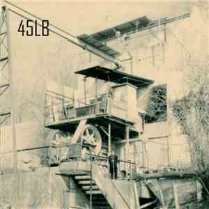 45LB - New Real Toy / Dub