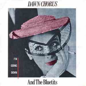 Dawn Chorus & The Blue Tits - I'm Going Down