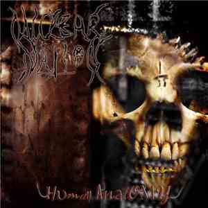 Nuclear Nation - Human Anatomy