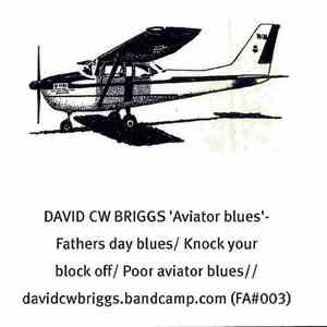 David CW Briggs - Aviator blues