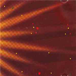 Group Seizure - Hybrid Vigour
