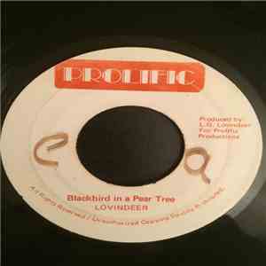 Lovindeer - Blackbird In A Pear Tree