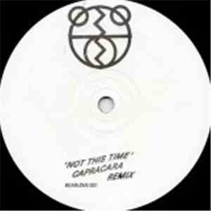 The 2 Bears - Not This Time (Capracara Remix)