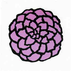 Aina  - Chrysanthemum