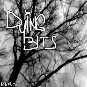 Beira - Dying Bits
