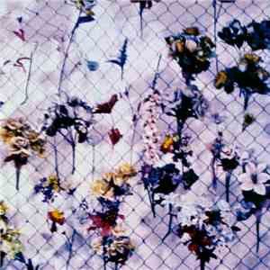 Rule Of Thirds - Rule Of Thirds