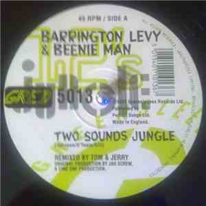 Barrington Levy & Beenie Man - Two Sounds Jungle / Jungle Sounds Drum'n'bass (Tom & Jerry Remixes)