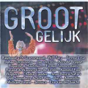 Various - Groot Gelijk