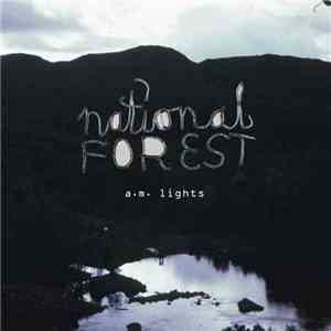 National Forest - A.M. Lights