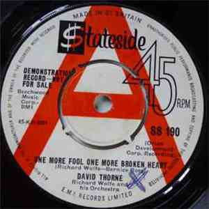 David Thorne - One More Fool One More Broken Heart