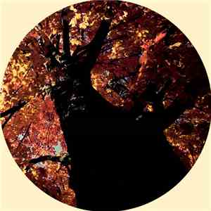 Noonsize - September Leaves