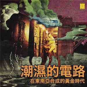 Oscar Young Band - Damp Circuits: The Golden Era Of Synthesizers In East Asia - Volume 1