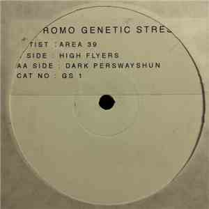 Area 39 - High Flyers / Dark Perswayshun
