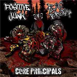 Big Brother / Positive Junk - Core Principals