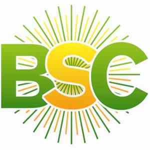 BSC & Jay Tripwire feat Rosa Morena Russa - The Feelings