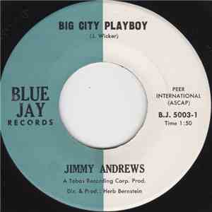 Jimmy Andrews  - Big City Playboy