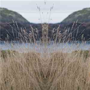 sɹoɹɹᴉɯ - Coastal Plains