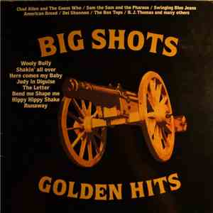 Various - Big Shots - Golden Hits