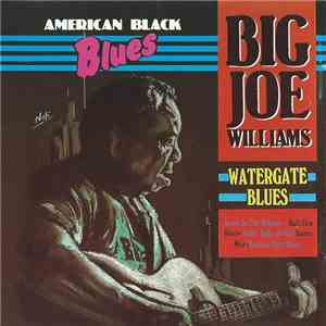 Big Joe Williams - Watergate Blues