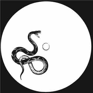 Black Seed  - Weirdness Of Being