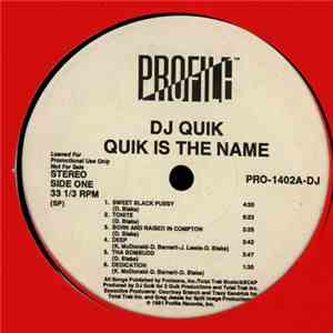 DJ Quik - Quik Is The Name