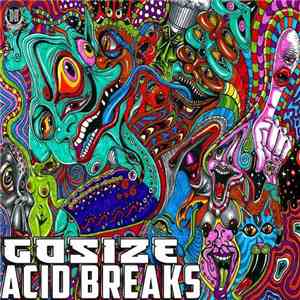 Gosize - Acid Breaks