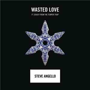 Steve Angello Feat. Dougy - Wasted Love